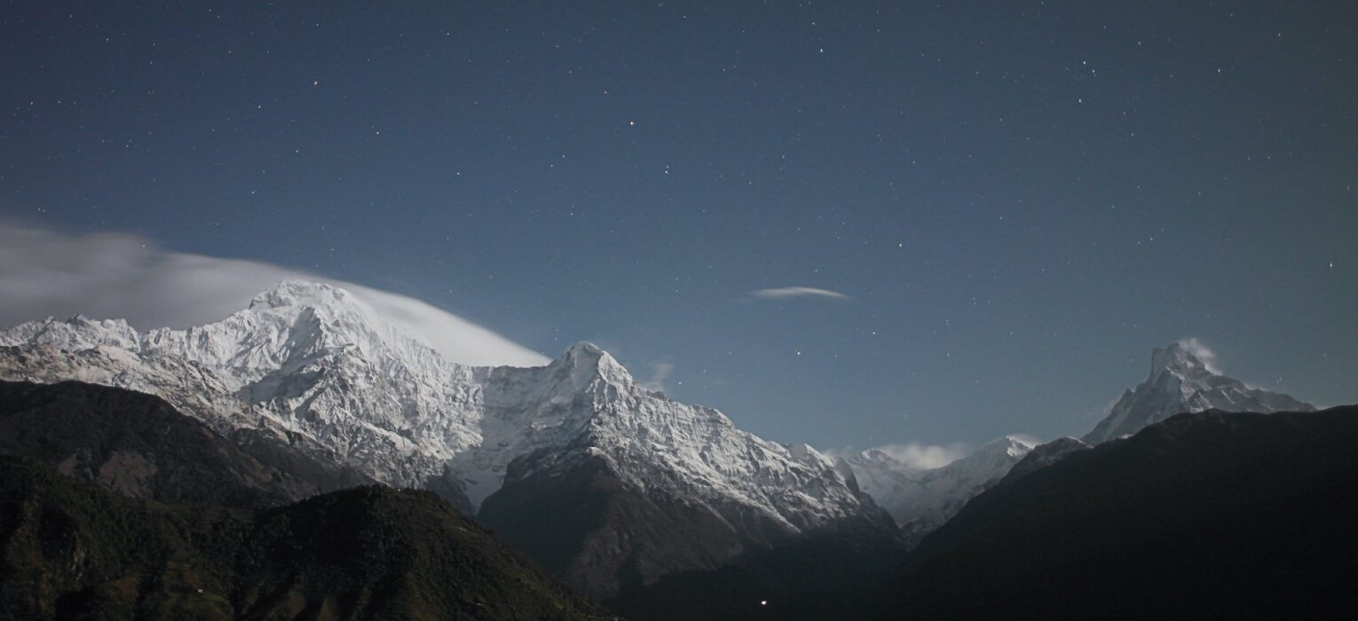 BFS-Transporte: Ihr verlässlicher Partner für Umzüge & Transporte in Österreich und Europa